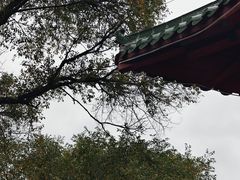 -北山公园