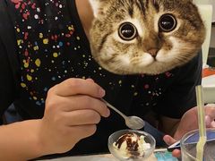 -CoCo壱番屋(久光百货店)