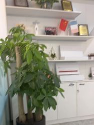 -蕾特恩专业祛痘国际连锁