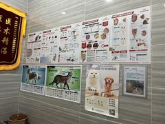 -瑞派名望志远动物医院·猫科·內科·异宠专科(直港大道店)