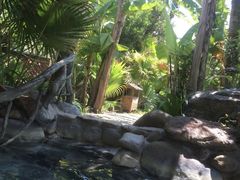 -天芳悦潭度假村温泉