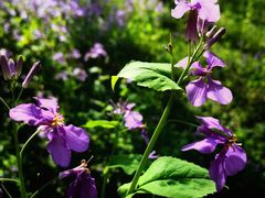 -停车场(临桂路)