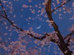 -东方童画少儿美术(金桥体验馆)