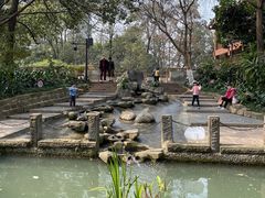 -成都市活水公园