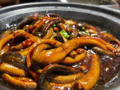 -扬州狮子楼·非遗淮扬菜(东关街店)