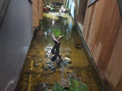 -邈墨茶馆(凤起路店)