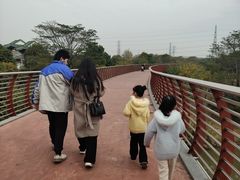 -王借岗森林公园