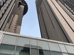 -新加坡乌节希尔顿酒店 (SG Clean)