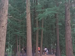 -东湖落雁景区