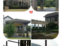 android_upload_pic-千岛湖品鱼馆(钓鱼岛店)