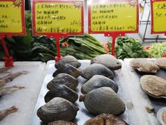 -蚝专家(北滘店)