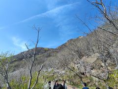 -樱花山风景区