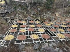 -林坑古村落