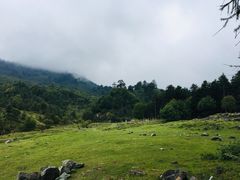 -硗碛藏寨·神木垒景区