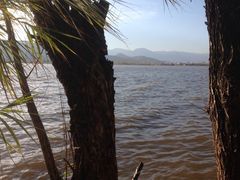 iphone_upload_pic-西昌邛海湿地