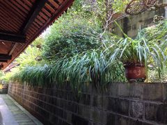 -峨眉山报国寺