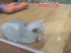 -龟与熊猫宠物公园(南坪店)