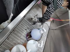 -优米宠物美容(体育场路店)