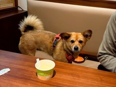 -壹湖两岸·鱼鲜山里菜(东江湖店)