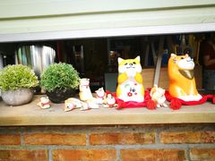 -柴犬高等学院·狗咖·柴犬售卖·宠物训练