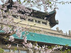 -武汉大学-樱园