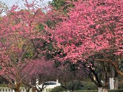 -长田漾湿地公园