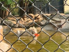 -北京野生动物园