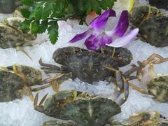 -柒加海鲜姿造