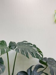 -凡碧诗毛孔清洁收细