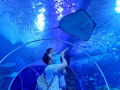 -多彩贵州城极地海洋世界