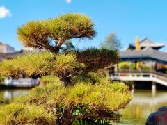 -朱家花园