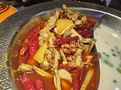 -麻田会 ·鲜活现烹·牛蛙火锅(珠江新城维家思广场店)