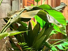 -园里火锅(仁和新城店)