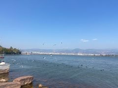 -西昌邛海湿地