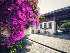 -金谷域澳洲庄园