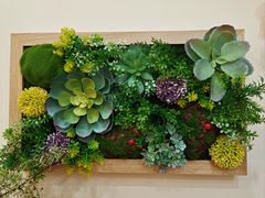 -花屿鲜花(淡水店)