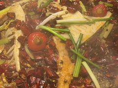 -老板恋上鱼(恒隆广场店)