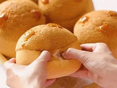-炳胜公馆(珠江新城店)