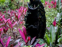 -西双版纳原始森林公园