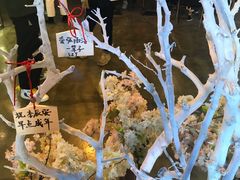 -长藤鬼校(龙翔店)