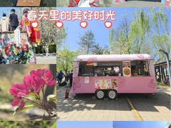 -元大都城垣遗址公园