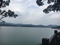 -广州市流溪河国家森林公园