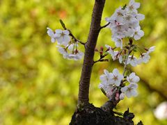 -宁波大学附属第一医院(外滩院区)