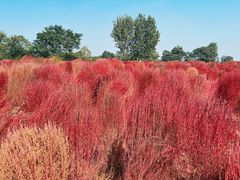 -汉长安城未央宫国家考古遗址公园