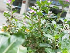 -江南大学附属医院(北院区)