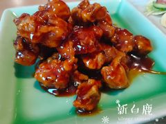 -新白鹿餐厅(城西银泰城店)