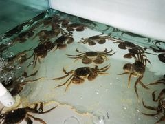 -阳澄湖大闸蟹·琼灵阁牌品牌连锁(吴中总店)
