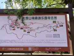 -大围山国家森林公园