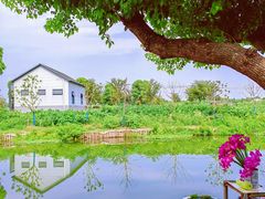 -乡乐园蟹庄·阳澄湖农家乐