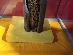 -上海昆虫博物馆